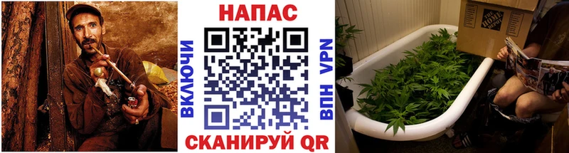 мориарти Telegram  Шахты  Марихуана Ganja 
